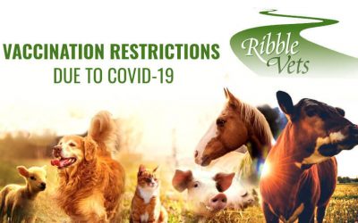 Vaccination Restrictions Due To COVID-19
