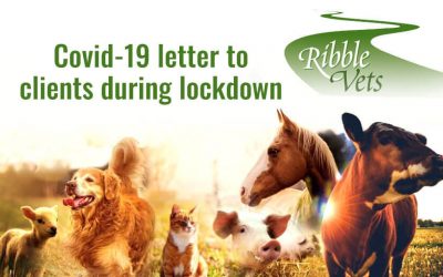 Covid-19 letter to clients During Lockdown