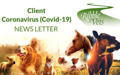 Client Coronavirus (Covid-19) News Letter