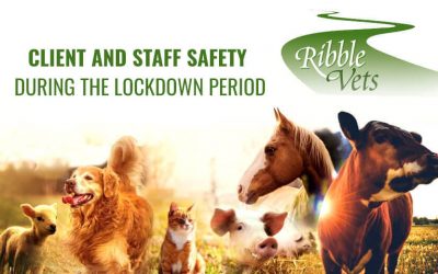 Client & Staff Safety during the Lockdown Period