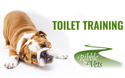Toilet training