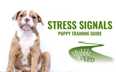Stress signals