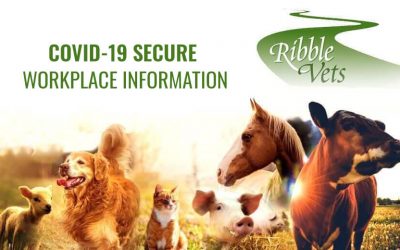 Covid-19 Secure Workplace Information