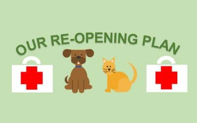 Our Re-opening Plan