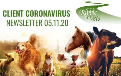 Client Coronavirus Newsletter