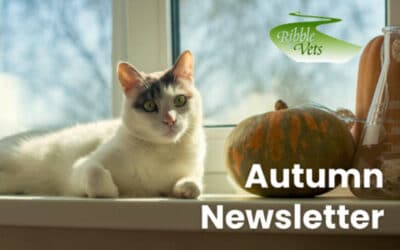 Autumn Newsletter